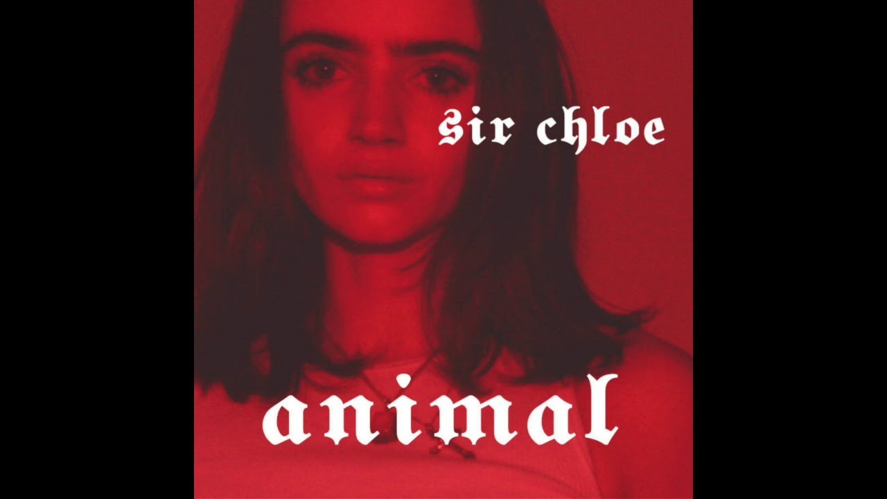 Animal
