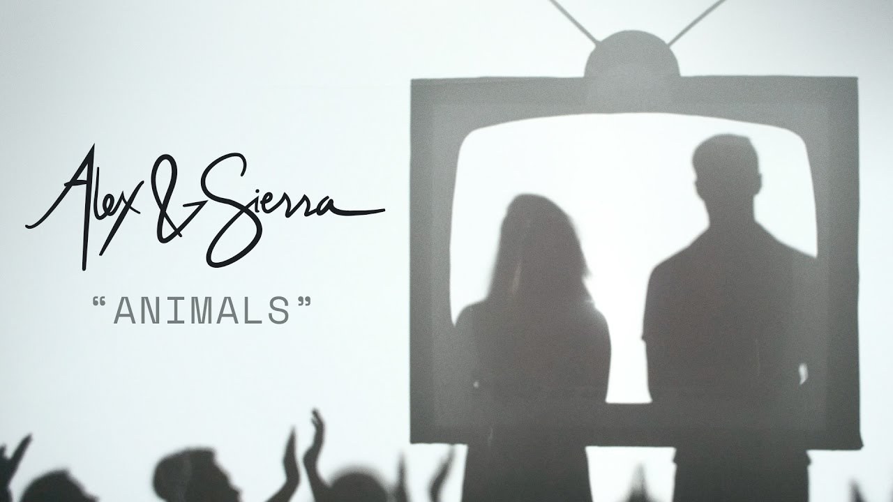 Animals