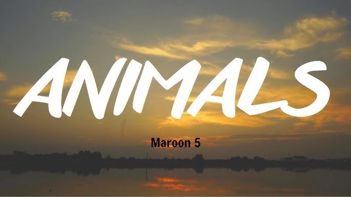 Animals
