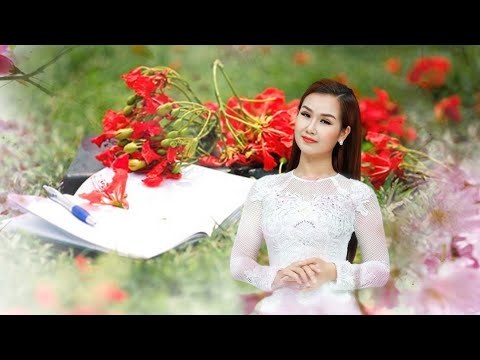 Áo Trắng Sân Trường 