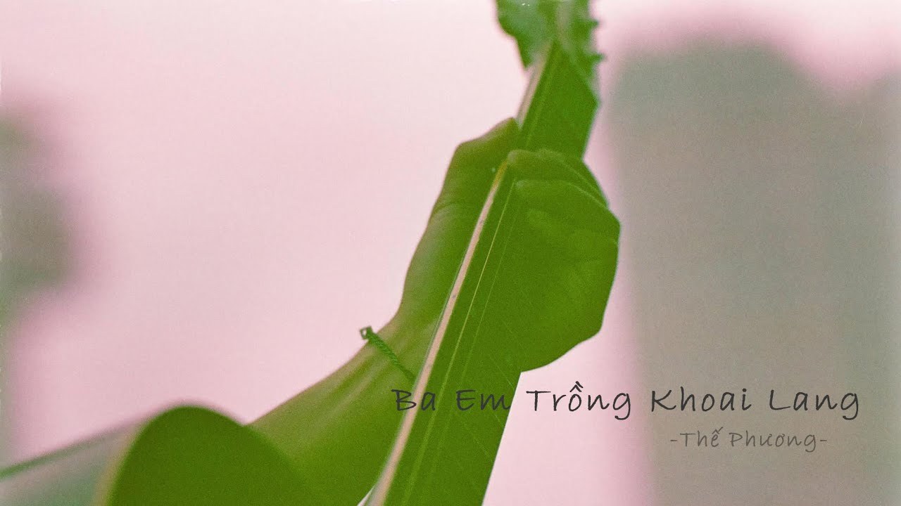 Ba Em Trồng Khoai Lang