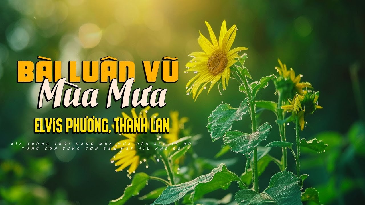 Bài luân vũ mùa mưa (The last waltz)