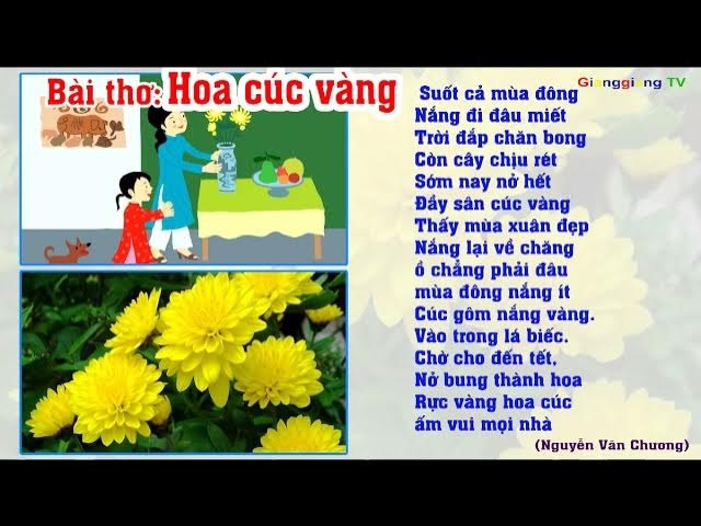 BÀI THƠ HOA CÚC