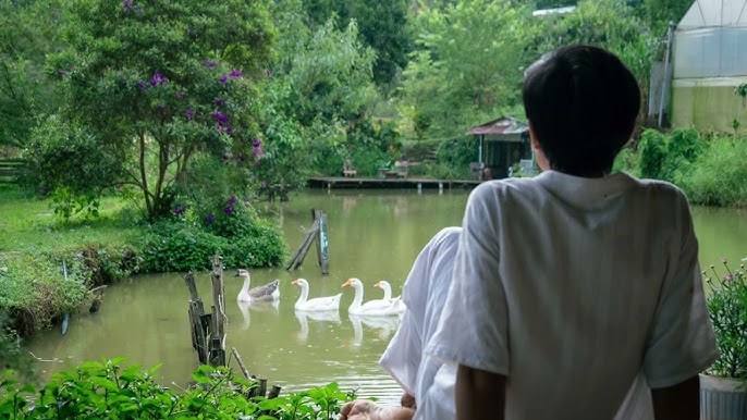 Bàn chân trên đất mẹ