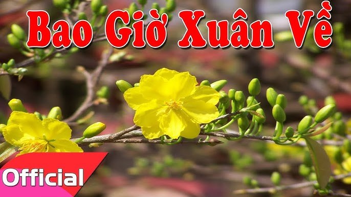 Bao Giờ Xuân Về