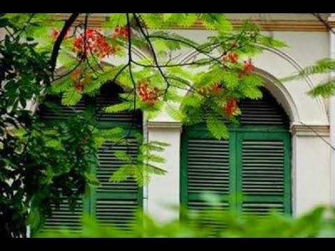 Bao năm ta chờ em