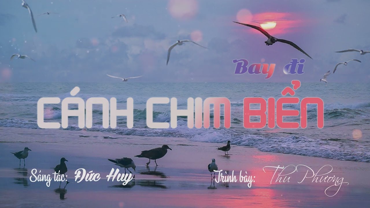 Bay Đi Cánh Chim Biển