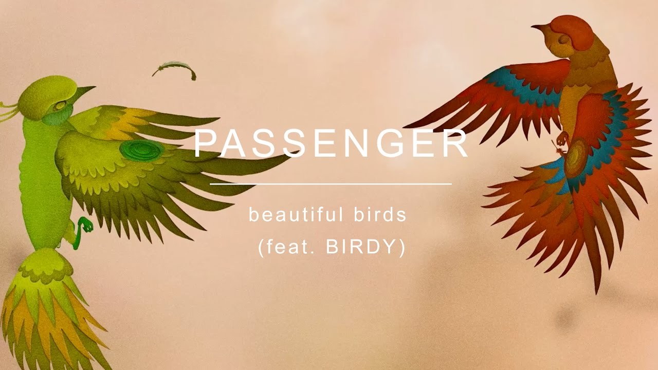 Beautiful Birds