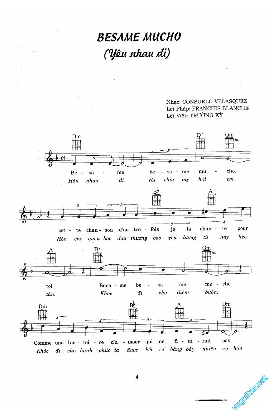 Besame Mucho (Lời Việt)