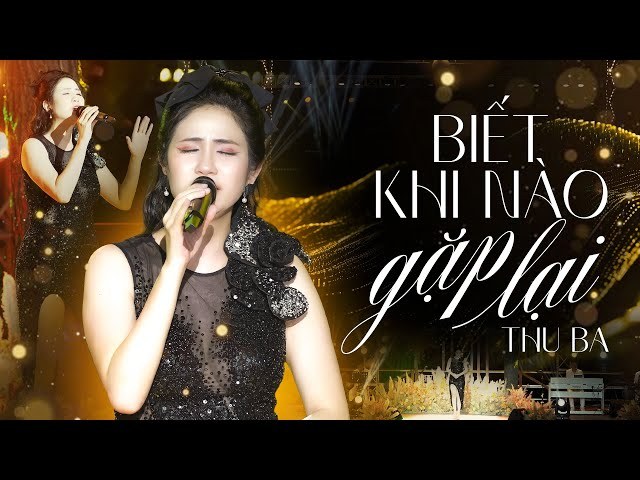 Biết khi nào gặp lại (Nếu Anh Đi, Biết Khi Nào Gặp Lại)