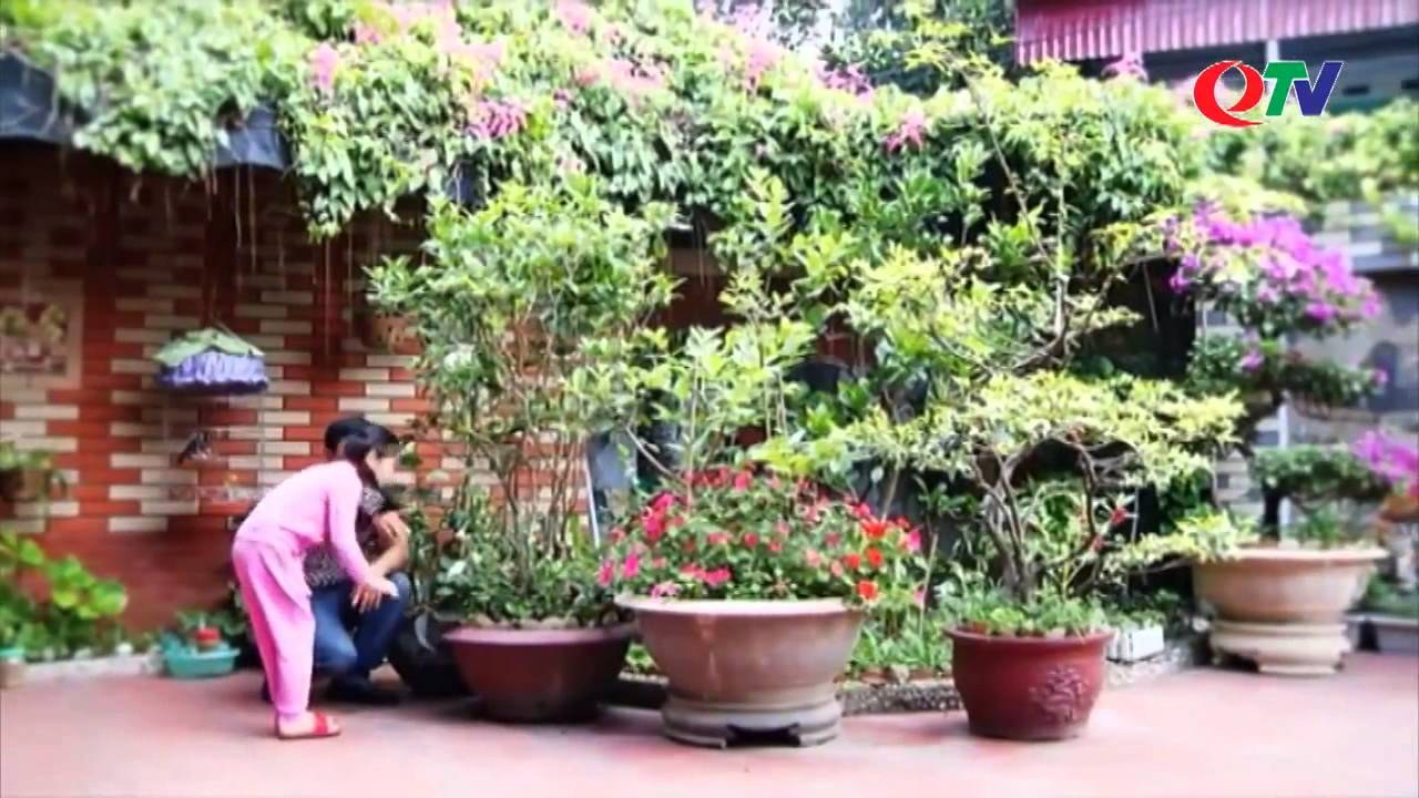 Bình minh lên có con chim non