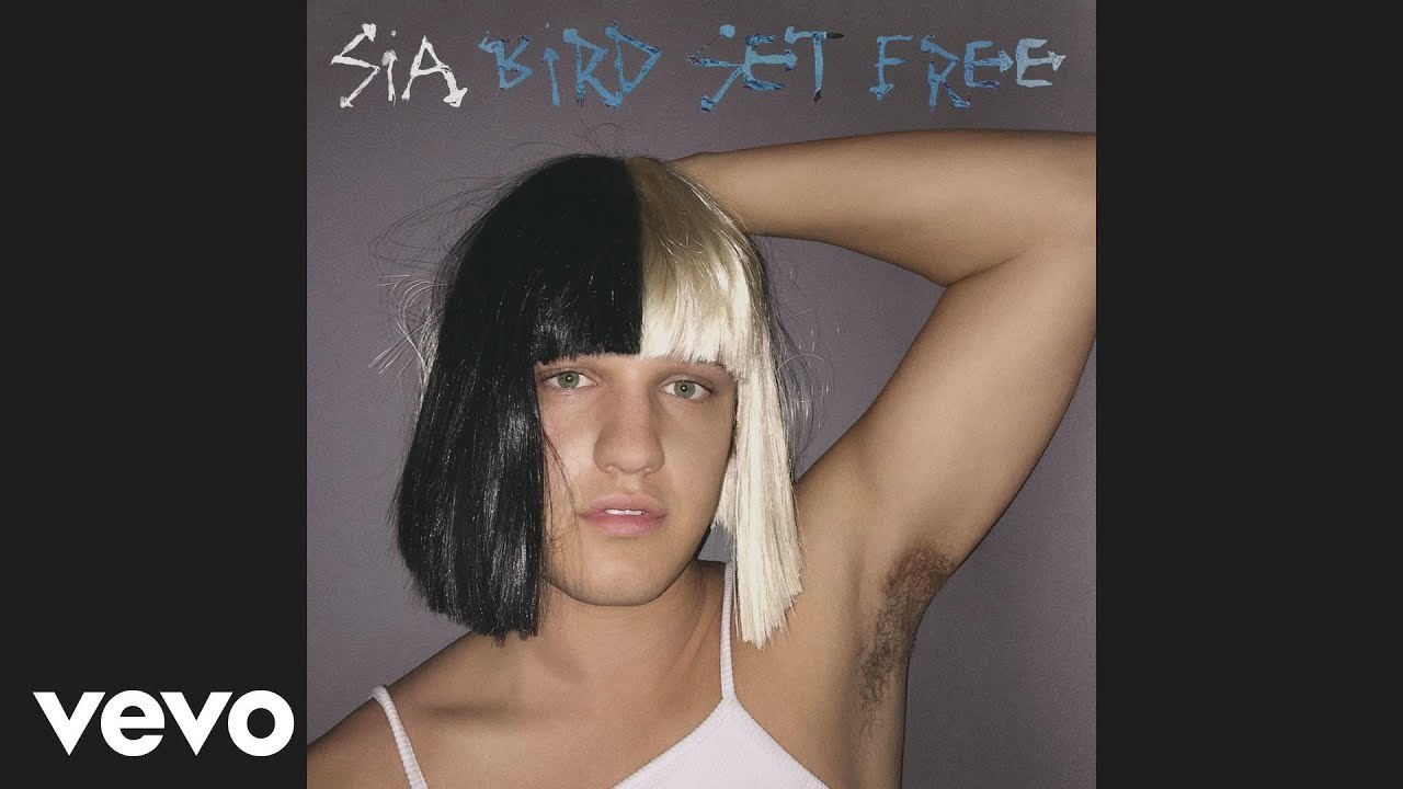 Bird Set Free