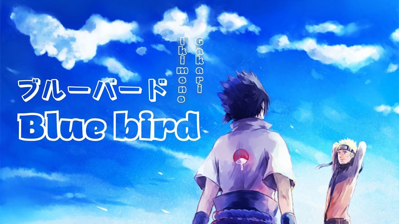 Blue bird