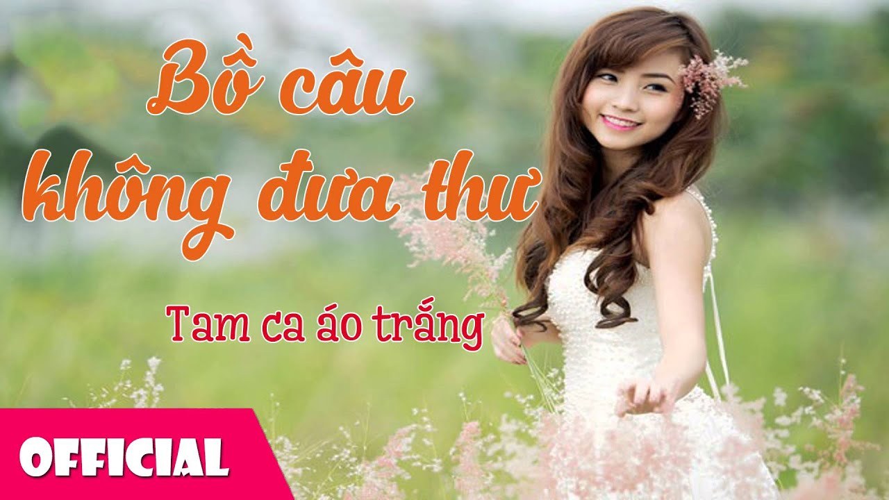 Bồ Câu Không Đưa Thư