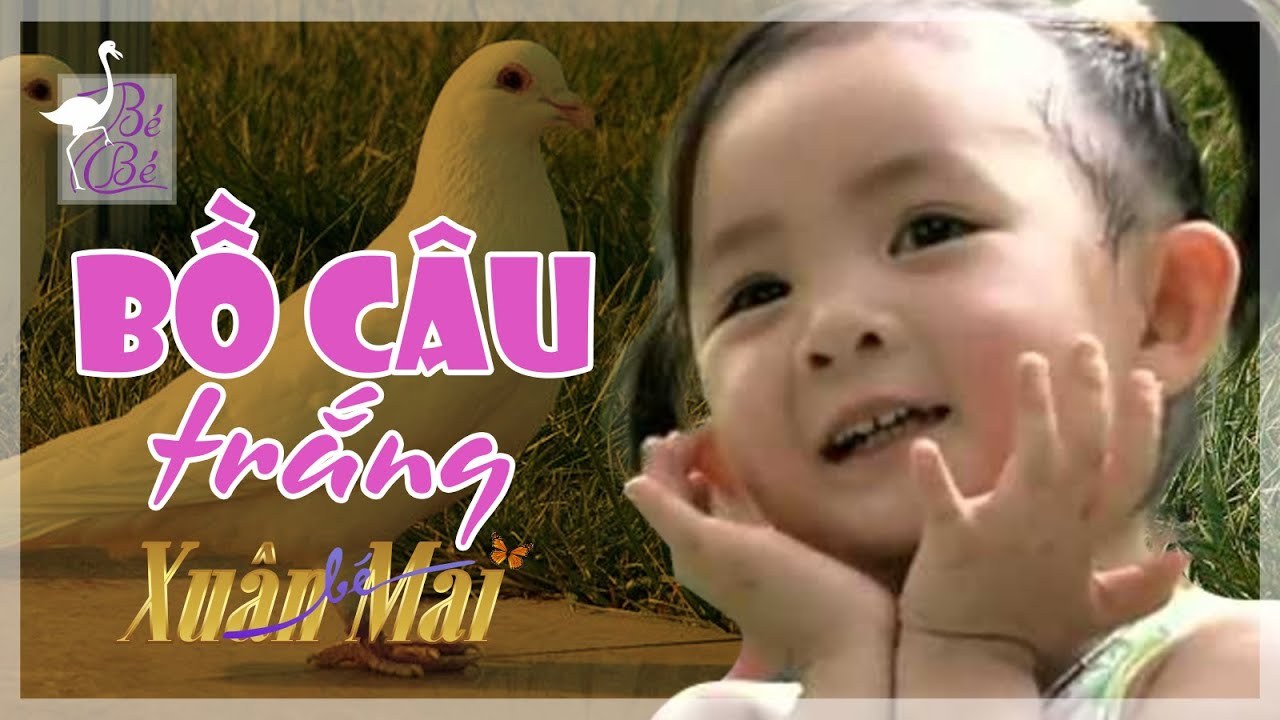 Bồ câu trắng