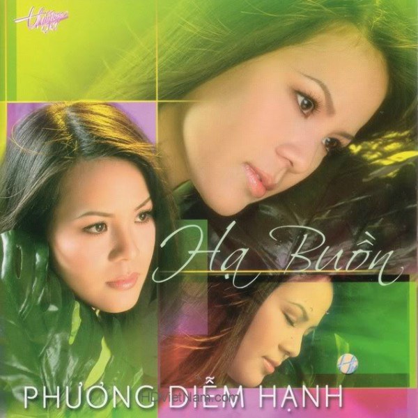 Bỏ phố lên rừng