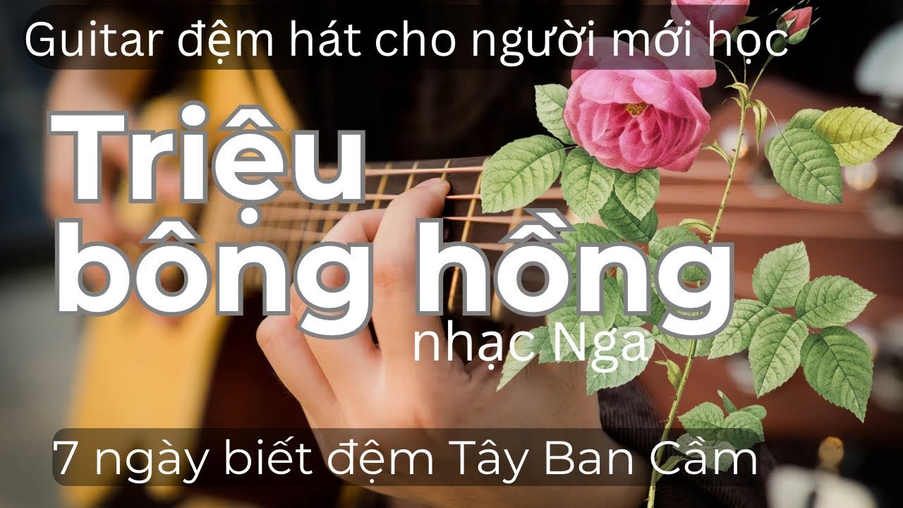 Bốn Bông Hoa Hồng Gai (Nhà trọ có 4 cô chiêu ost)