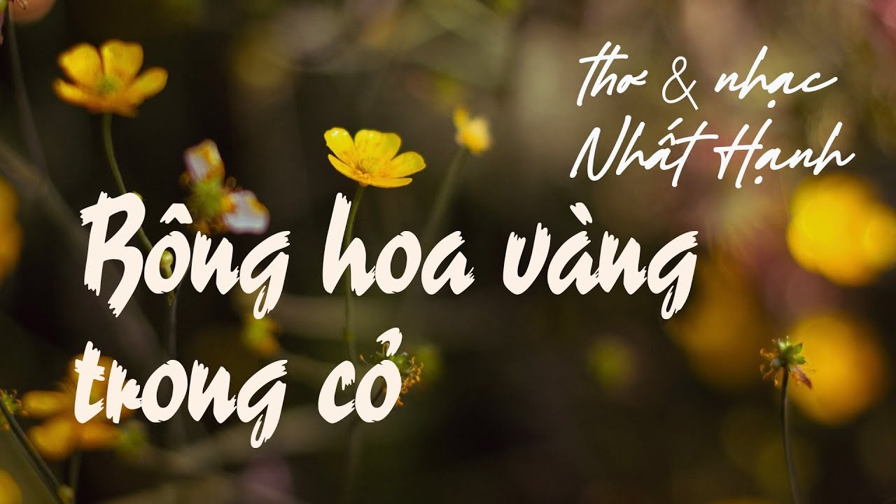 Bông hoa vàng trong cỏ