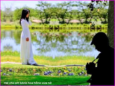 Bông hoa vườn dị thảo