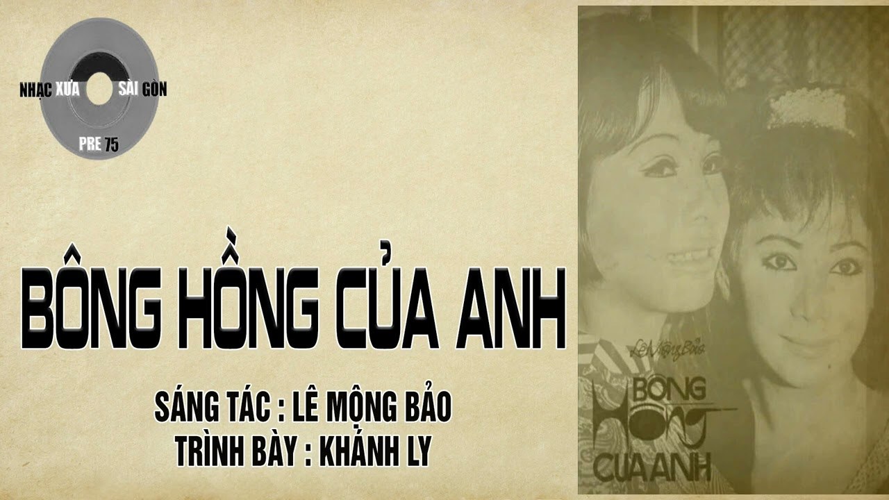 Bông Hồng Của Anh