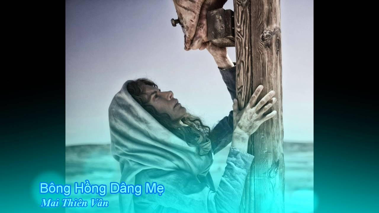 Bông hồng dâng Mẹ