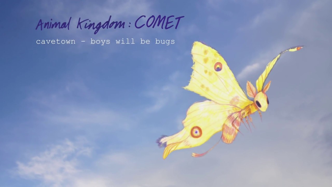 Boys Will Be Bugs