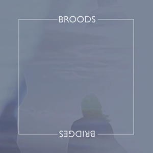 Bridges 