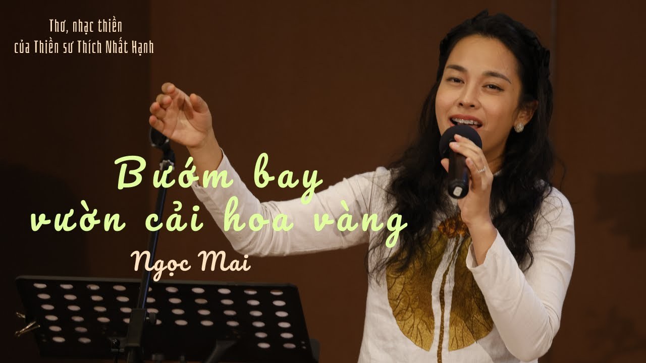 Bướm bay vườn cải hoa vàng