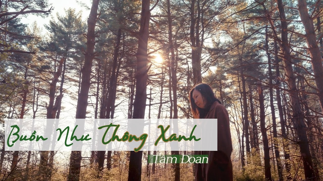 Buồn Như Thông Xanh