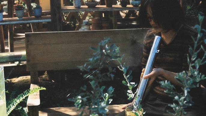 Cá Vàng Cai Thuốc