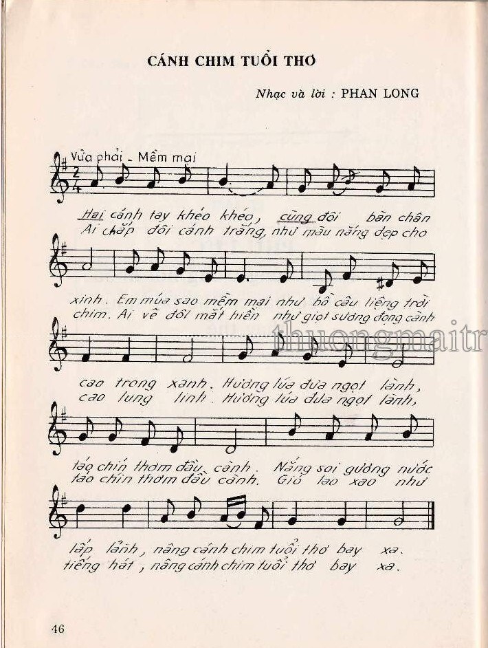 Cánh Chim Tuổi Thơ