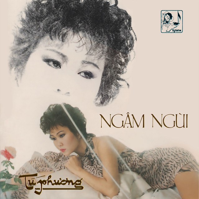 Cành hoa trắng