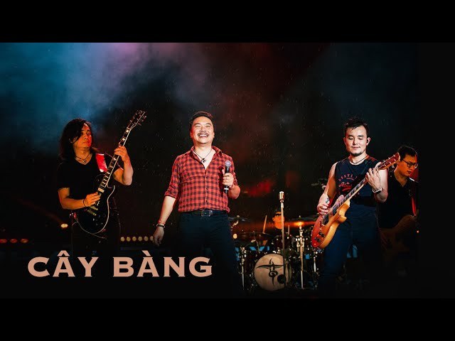 Cây Bàng