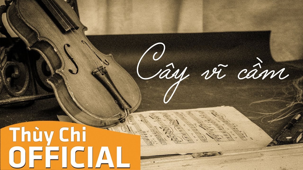 Cây Vỹ Cầm