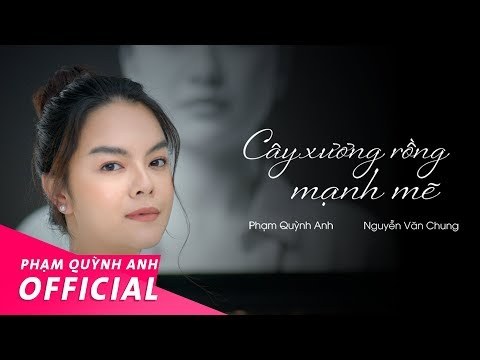 Cây Xương Rồng Mạnh Mẽ