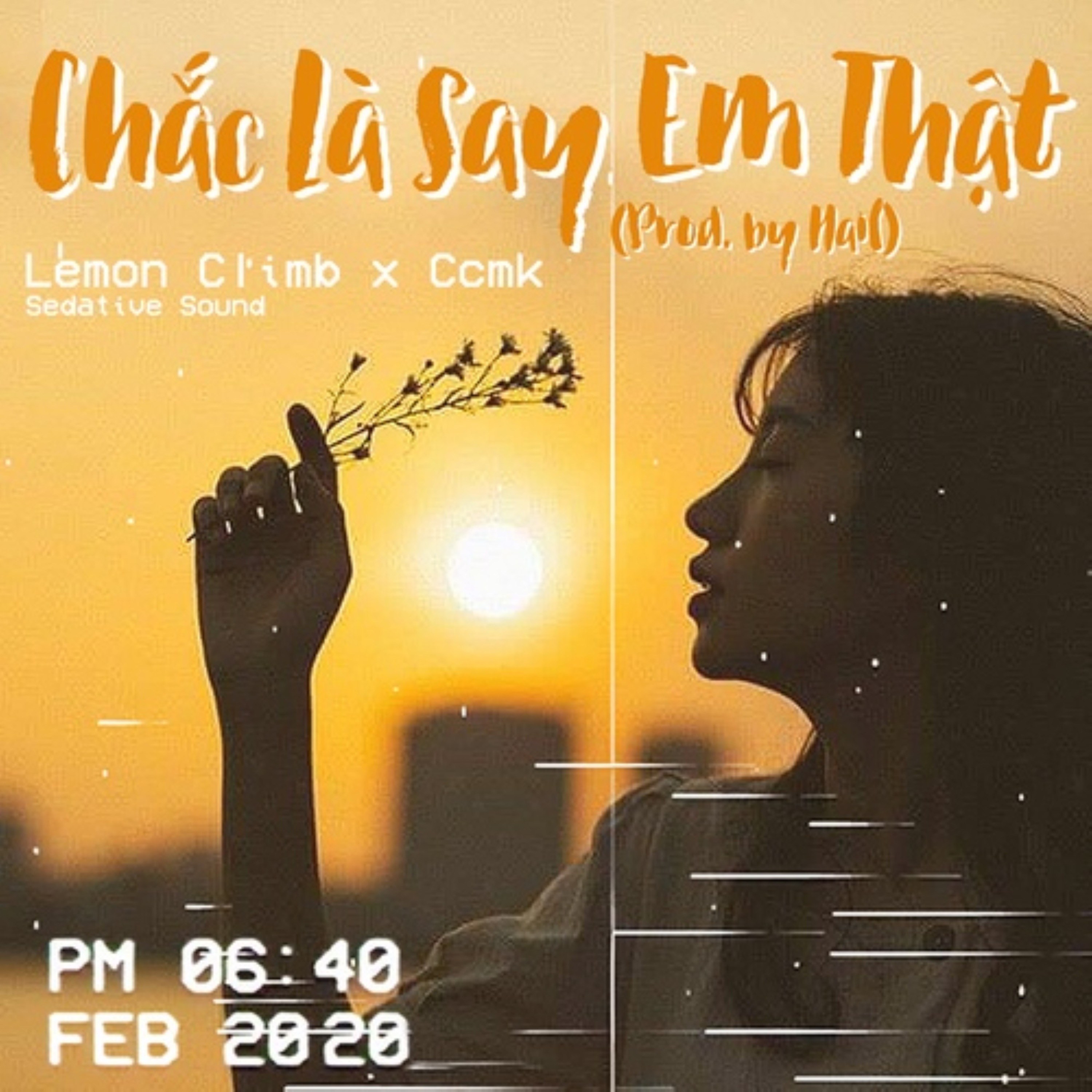 Chắc Là Say Em Thật
