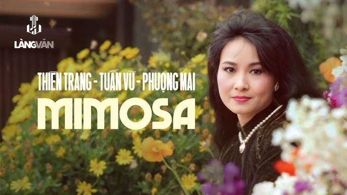 Chào Mimosa