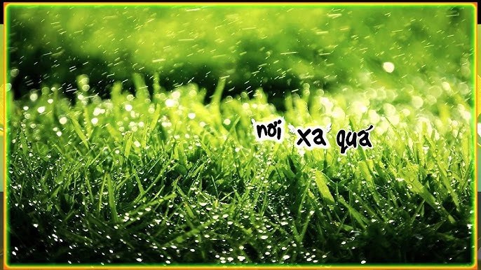 Chiếc Lá Không Cô Đơn
