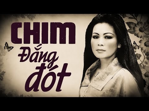 Chim Đắng Đót (Bài Tình Ca Nhỏ)