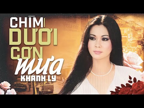 Chìm dưới cơn mưa