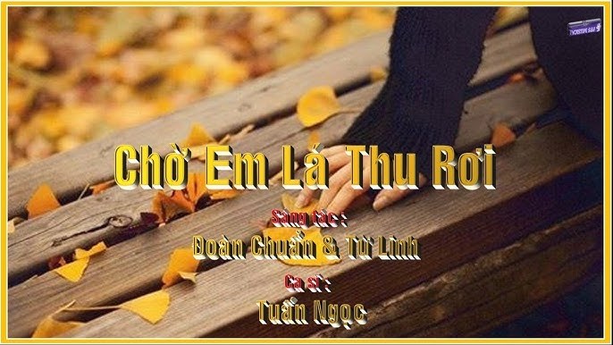 Chờ em lá thu rơi