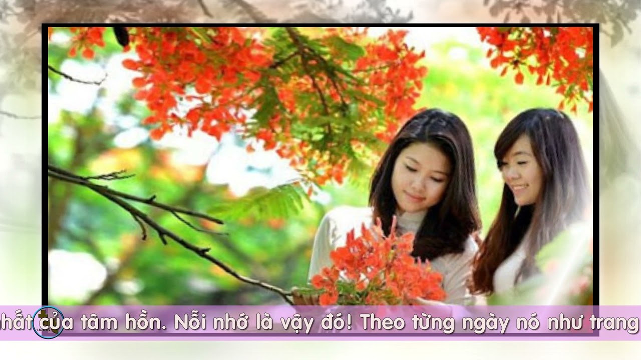 Cho Tôi Yêu