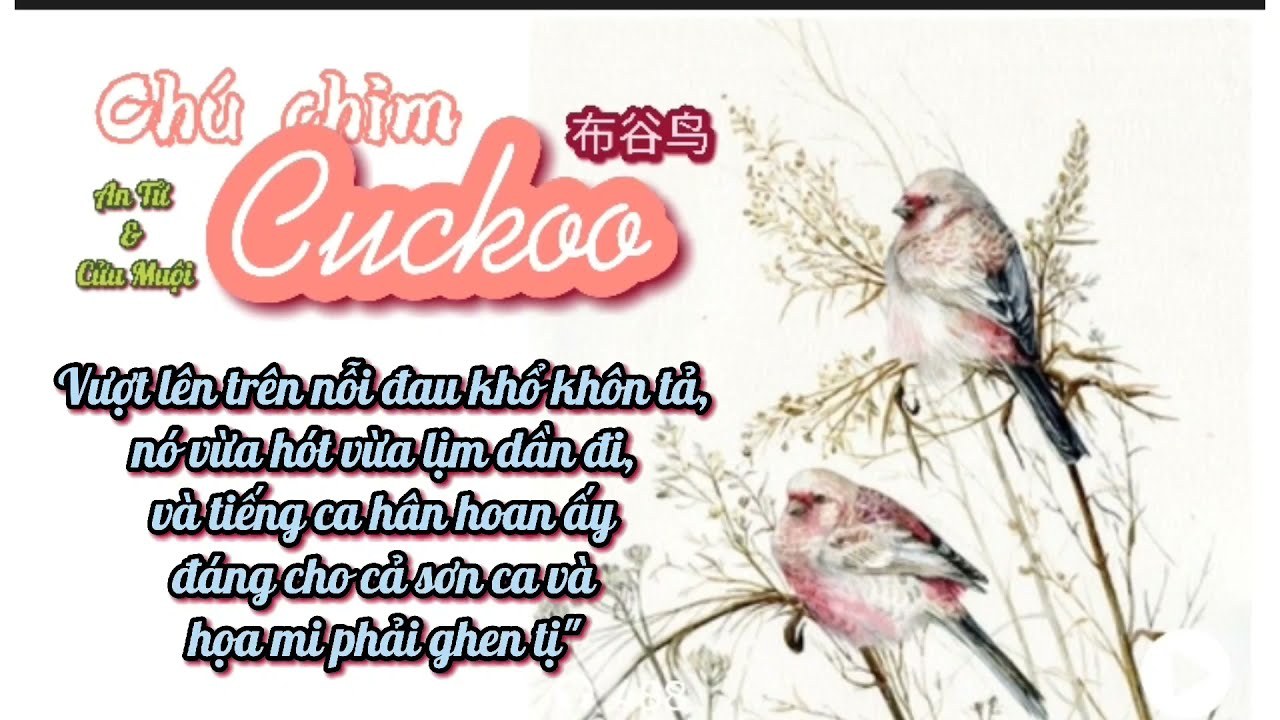 Chú Chim Cuckoo (布谷鸟)