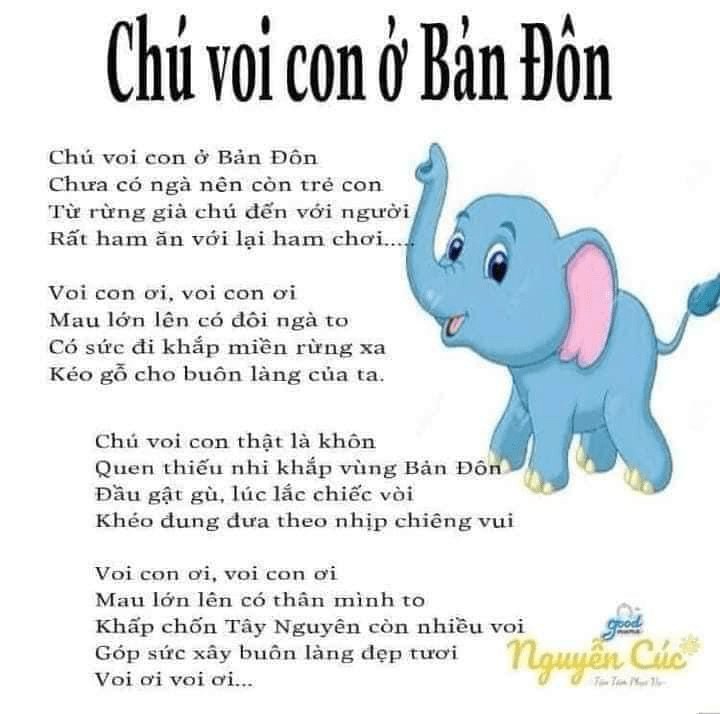 Chú Voi Con Ở Bản Đôn