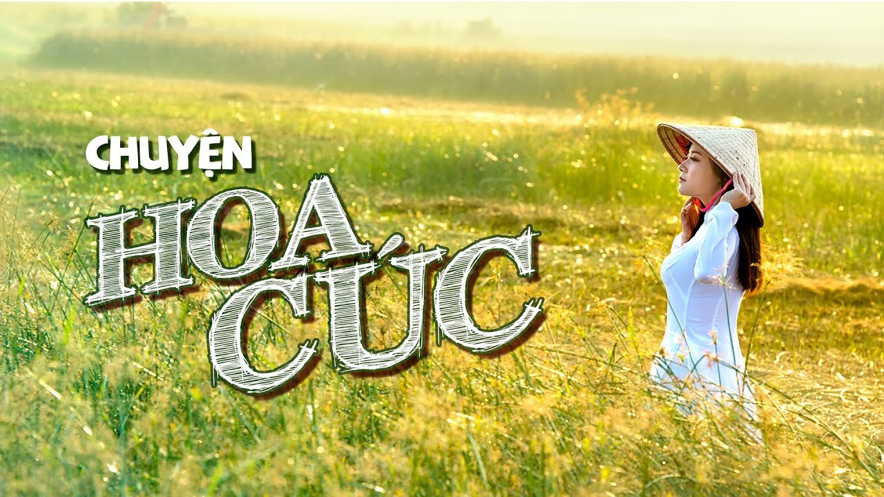 Chuyện hoa cúc 
