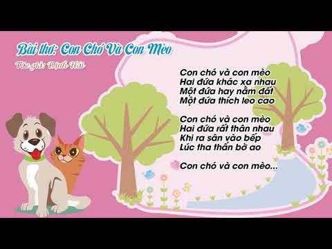Chuyện kể chú chó và con mèo con