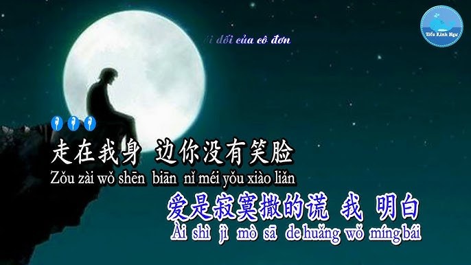 Cô đơn mới nói yêu ( 寂寞才说爱 -  lời Việt )