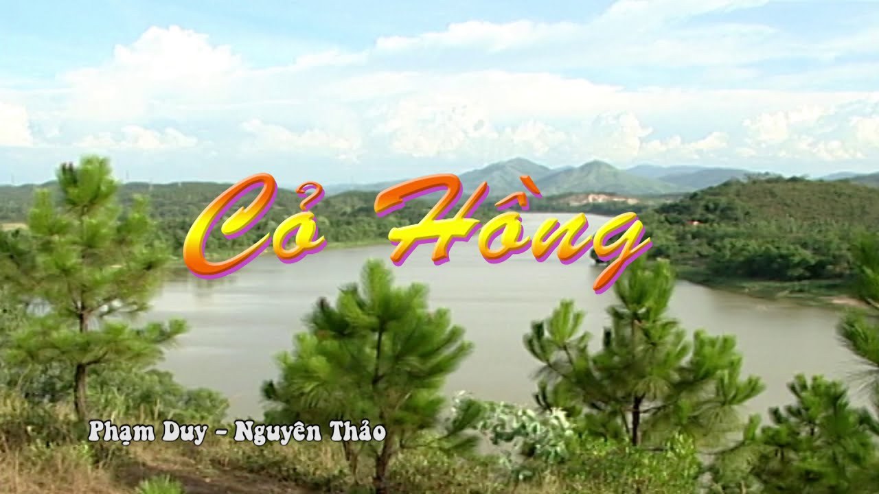 Cỏ Hồng