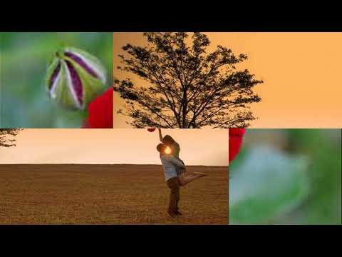 Cõi đời vui
