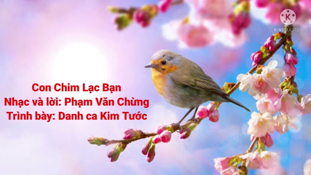 Con chim lạc bạn